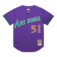 Randy Johnson Arizona Diamondbacks Mitchell & Ness 2000 Throwback Authentic Jersey Purple