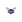 Charlotte Hornets