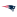 New England Patriots