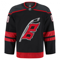 Carolina Hurricanes Fanatics Home Authentic Pro Custom Jersey Black