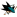 San Jose Sharks